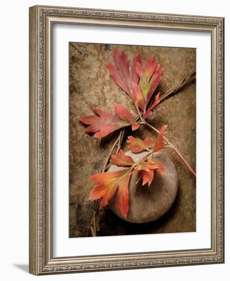 Quiet Nature Fall Collection 4-Julie Greenwood-Framed Art Print