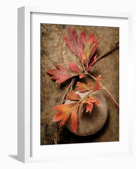 Quiet Nature Fall Collection 4-Julie Greenwood-Framed Art Print