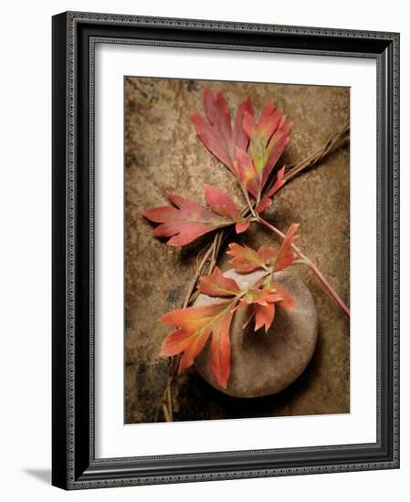 Quiet Nature Fall Collection 4-Julie Greenwood-Framed Art Print