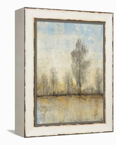 Quiet Nature I-Tim OToole-Framed Stretched Canvas