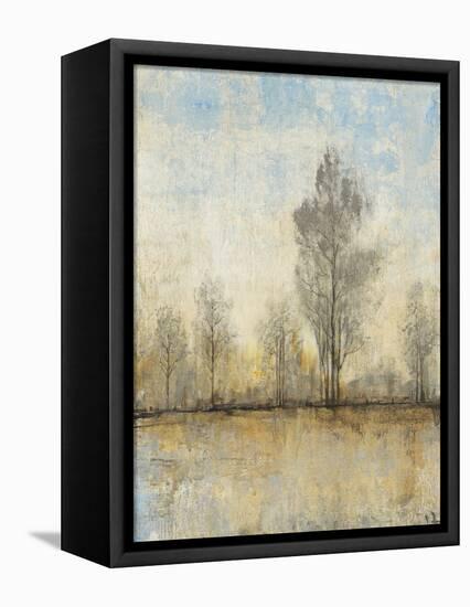 Quiet Nature I-Tim OToole-Framed Stretched Canvas
