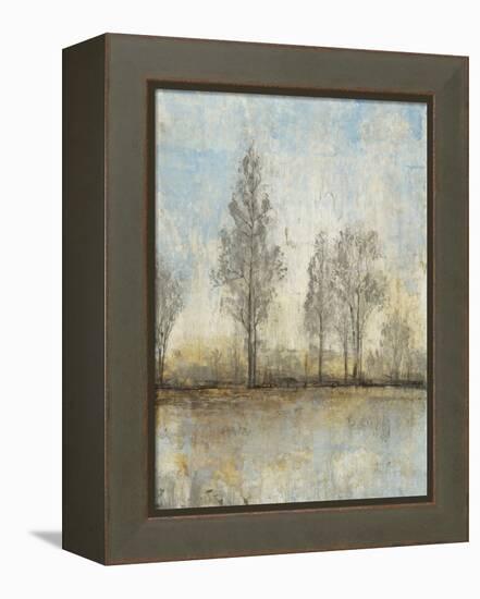 Quiet Nature II-Tim OToole-Framed Stretched Canvas