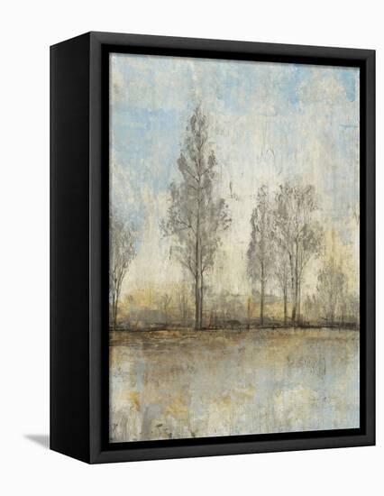 Quiet Nature II-Tim OToole-Framed Stretched Canvas