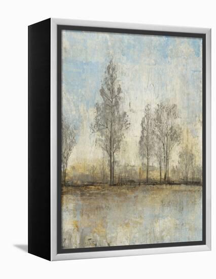 Quiet Nature II-Tim OToole-Framed Stretched Canvas