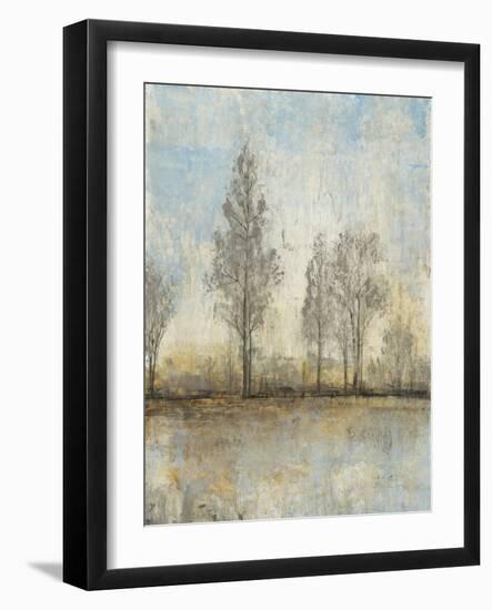 Quiet Nature II-Tim OToole-Framed Art Print