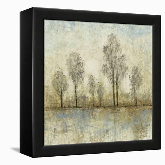 Quiet Nature III-Tim OToole-Framed Stretched Canvas