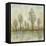 Quiet Nature III-Tim OToole-Framed Stretched Canvas