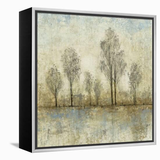 Quiet Nature III-Tim OToole-Framed Stretched Canvas