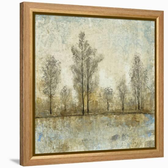 Quiet Nature IV-Tim OToole-Framed Stretched Canvas