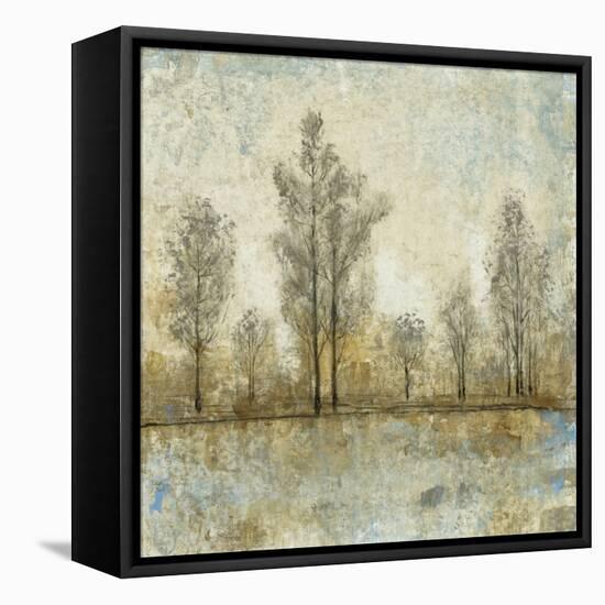Quiet Nature IV-Tim OToole-Framed Stretched Canvas