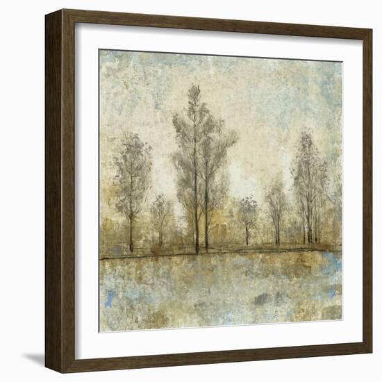 Quiet Nature IV-Tim OToole-Framed Art Print