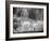 Quiet Noise-David Senechal Photographie-Framed Photographic Print