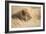 Quiet Observation-Francesco Riccardo Iacomino-Framed Giclee Print