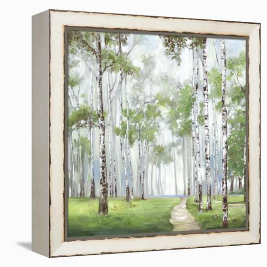 Quiet Path-Allison Pearce-Framed Stretched Canvas