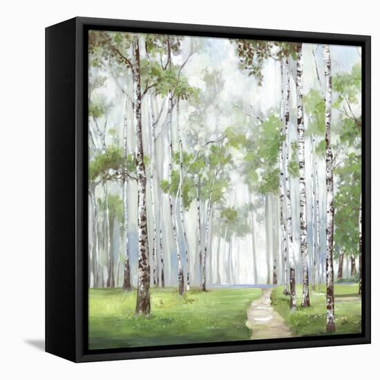 Quiet Path-Allison Pearce-Framed Stretched Canvas