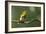 Quiet Pause - Rest-Staffan Widstrand-Framed Giclee Print