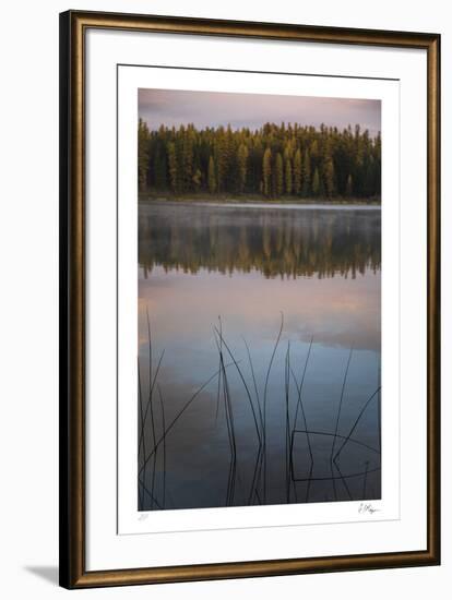 Quiet Reflections-Andrew Geiger-Framed Limited Edition