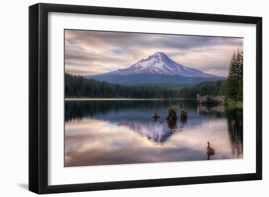 Quiet Time at Trillium Lake, Mount Hood Wilderness, Oregon-Vincent James-Framed Photographic Print