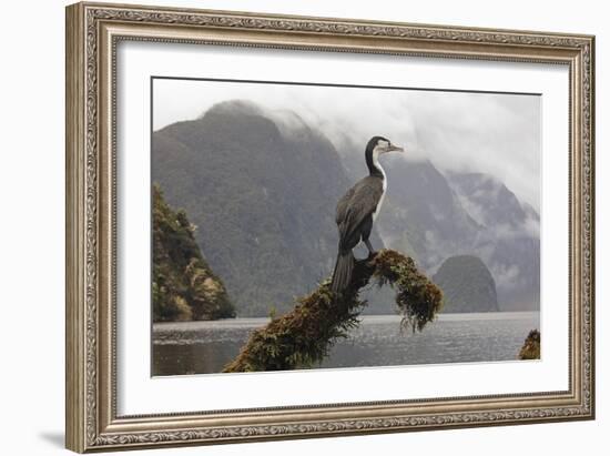 Quiet Watch-Nathan Secker-Framed Giclee Print