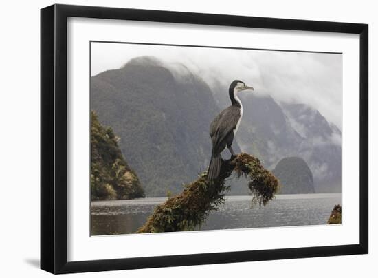 Quiet Watch-Nathan Secker-Framed Giclee Print