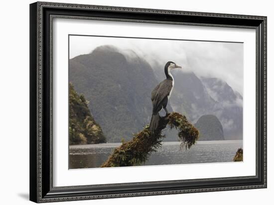 Quiet Watch-Nathan Secker-Framed Giclee Print