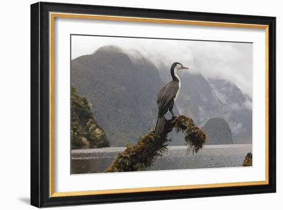 Quiet Watch-Nathan Secker-Framed Giclee Print