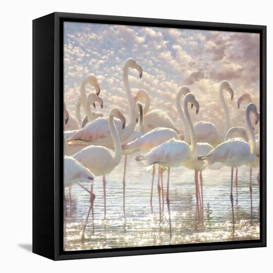 Quiet Wave of Pink-Steve Hunziker-Framed Premier Image Canvas