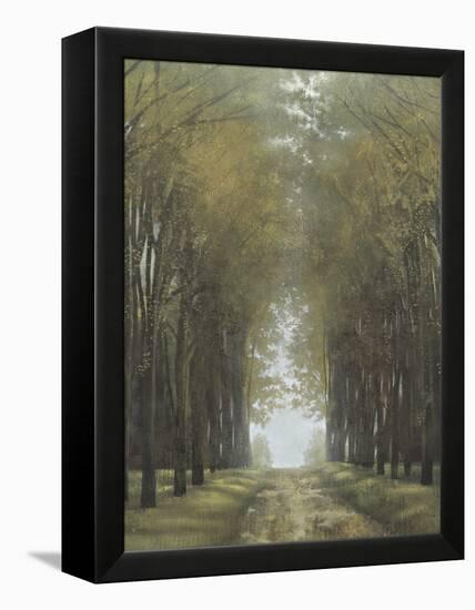 Quietly in Hope's Haven-Williams-Framed Stretched Canvas