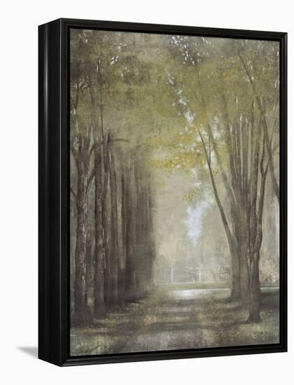 Quietly in the Mist-Williams-Framed Stretched Canvas