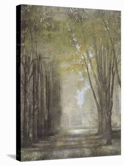 Quietly in the Mist-Williams-Framed Stretched Canvas