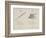 Quill and Rattlesnake From Nonsense Alphabets Drawn and Written by Edward Lear.-Edward Lear-Framed Giclee Print