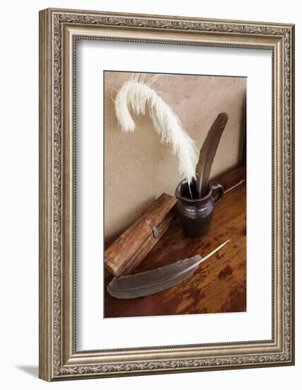 Quill pens ready for use, Santa Fe, New Mexico, Usa.-Julien McRoberts-Framed Photographic Print