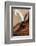 Quill pens ready for use, Santa Fe, New Mexico, Usa.-Julien McRoberts-Framed Photographic Print