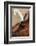 Quill pens ready for use, Santa Fe, New Mexico, Usa.-Julien McRoberts-Framed Photographic Print