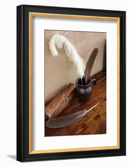 Quill pens ready for use, Santa Fe, New Mexico, Usa.-Julien McRoberts-Framed Photographic Print