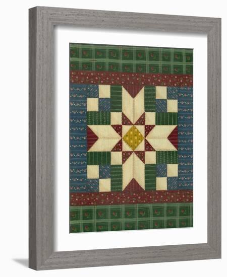 Quilt Square 1-Debbie McMaster-Framed Giclee Print