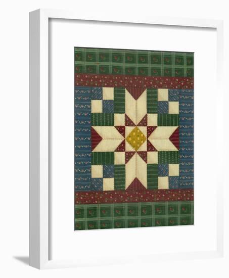 Quilt Square 1-Debbie McMaster-Framed Giclee Print