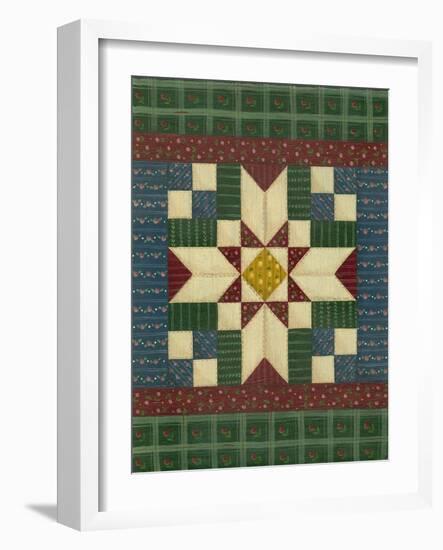 Quilt Square 1-Debbie McMaster-Framed Giclee Print