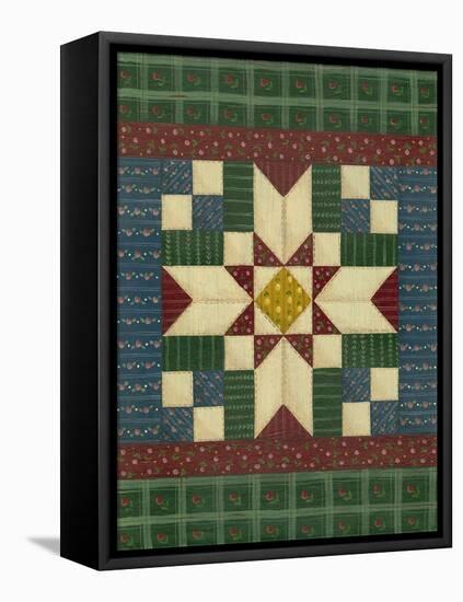 Quilt Square 1-Debbie McMaster-Framed Premier Image Canvas