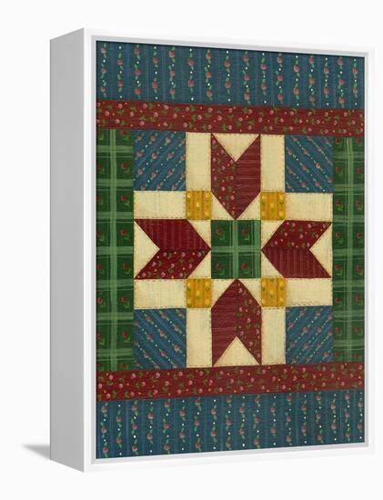 Quilt Square 2-Debbie McMaster-Framed Premier Image Canvas