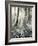 Quimia-Craig Satterlee-Framed Photographic Print