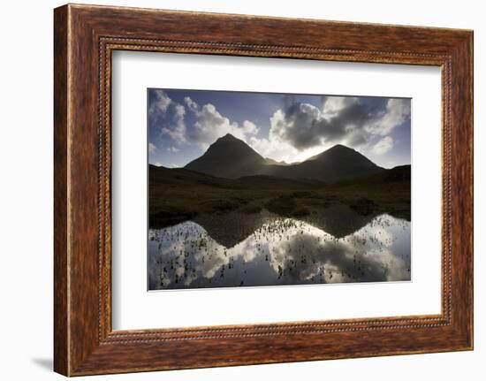 Quinag (Sail Ghorm and Sail Gharbh) and Moorland Pool, Assynt, Sutherland, Nw Scotland, UK, October-Mark Hamblin-Framed Photographic Print