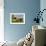 Quinault Adirondacks-Kathy Mahan-Framed Photographic Print displayed on a wall