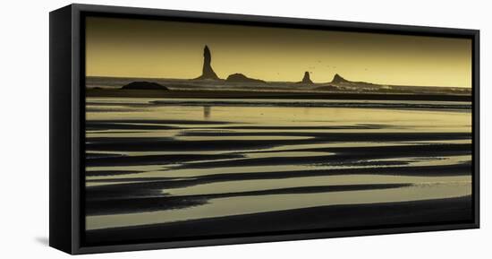 Quinault, Washington-Art Wolfe-Framed Premier Image Canvas
