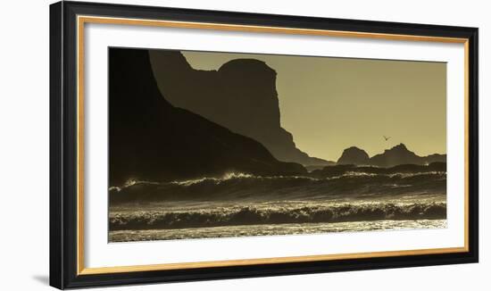 Quinault, Washington-Art Wolfe-Framed Photographic Print