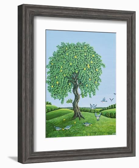 Quince Tree and Pigeons, 1983-Liz Wright-Framed Giclee Print