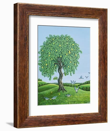 Quince Tree and Pigeons, 1983-Liz Wright-Framed Giclee Print