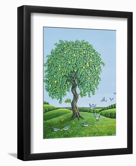 Quince Tree and Pigeons, 1983-Liz Wright-Framed Giclee Print