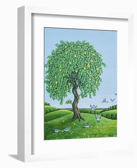 Quince Tree and Pigeons, 1983-Liz Wright-Framed Giclee Print