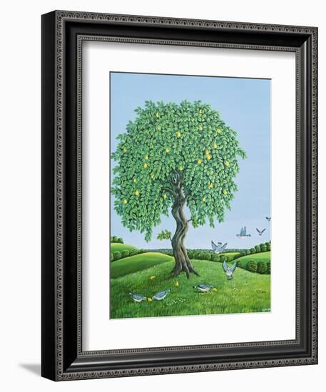 Quince Tree and Pigeons, 1983-Liz Wright-Framed Giclee Print